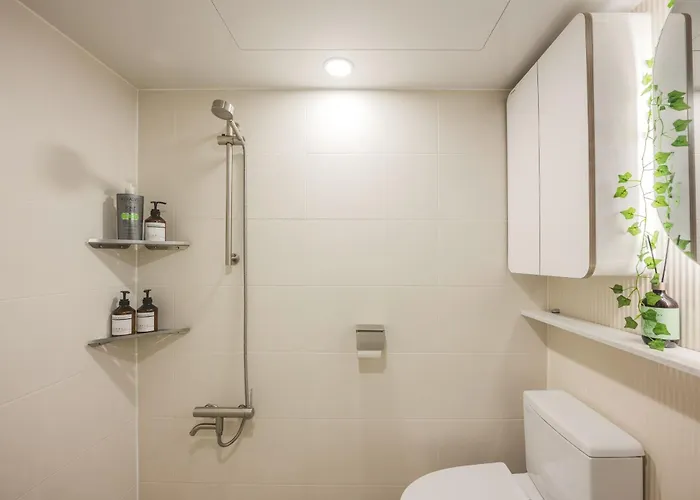 Daire Hongik Entrance Station 11 People Luxury House 2bathrooms 4 Ooftop Exclusive Use Seul